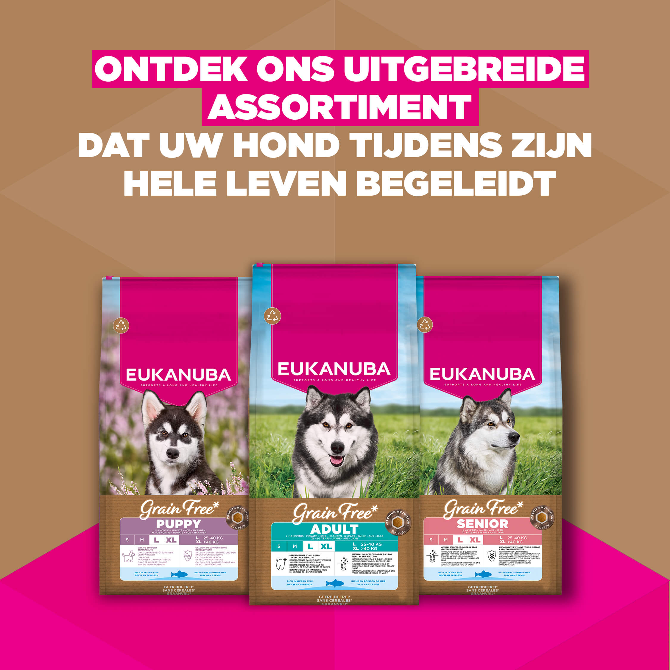 Eukanuba Dog Junior Large Grainfree Hondenvoer