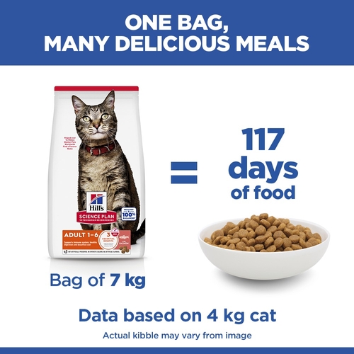 Hill's Science Plan - Feline Adult - Salmon