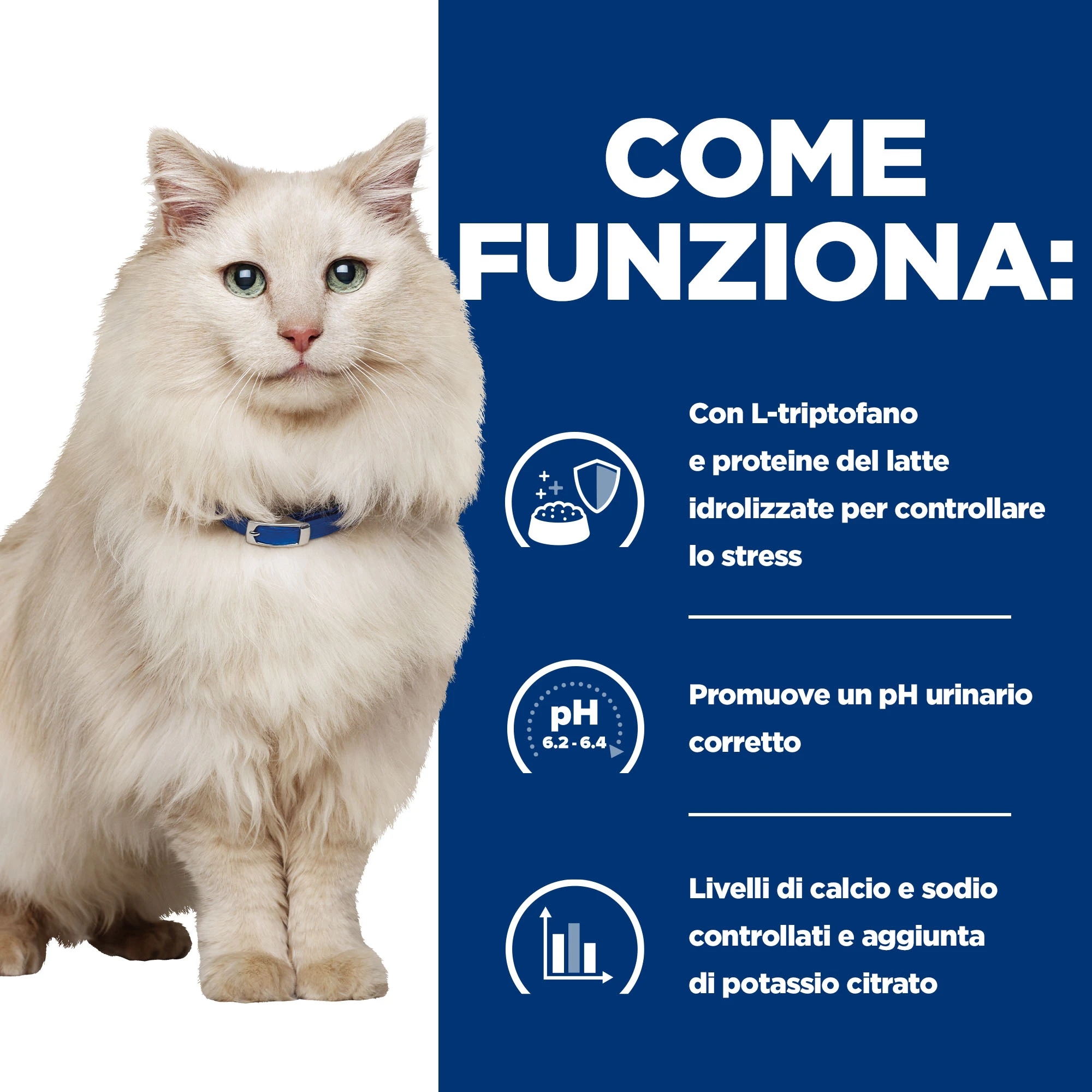 Hill's c/d Multicare Stress - Prescription Diet - Gatto - Mousse