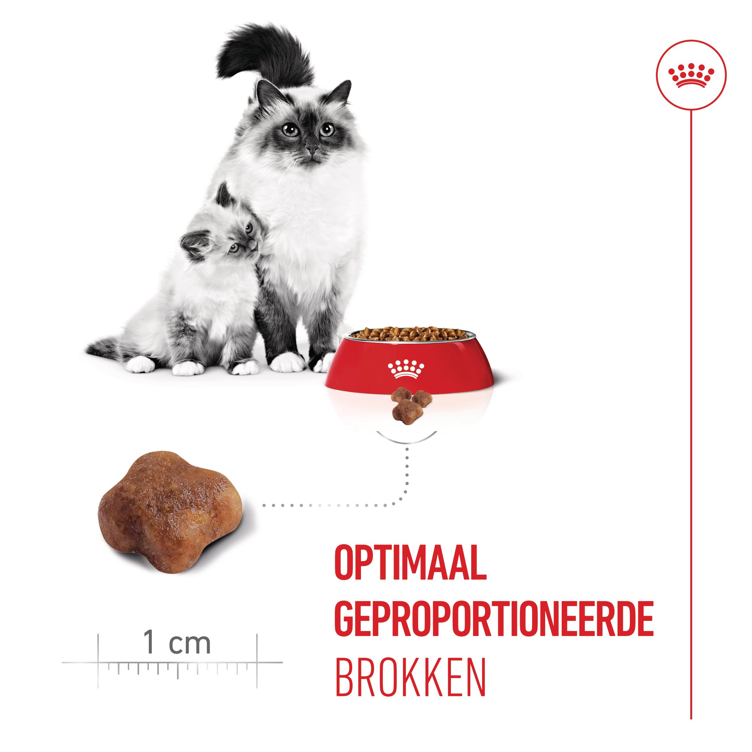 Royal Canin Mother & Babycat - Kattenvoer