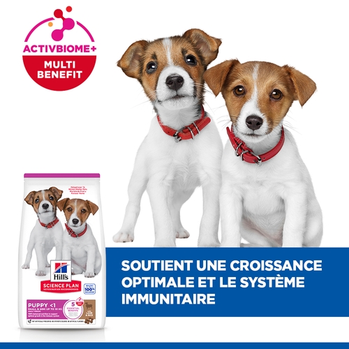 Hill's Science Plan Small & Mini - Chiot - Agneau & Riz