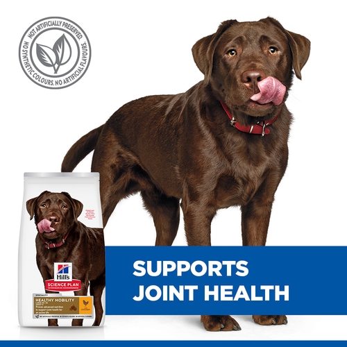 Hill's Science Plan - Canine Adult Healthy Mobility - Large Breed