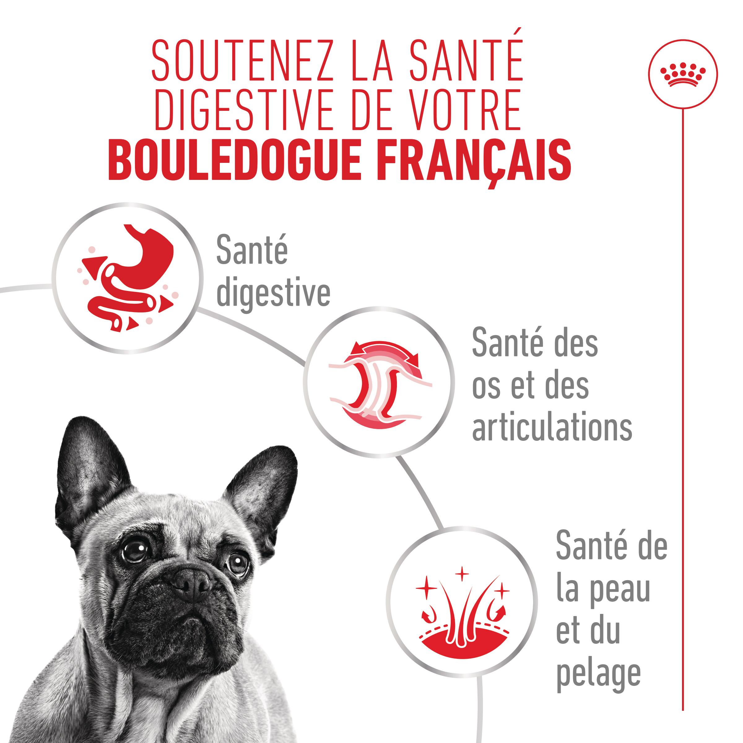 Royal Canin French Bulldog Loaf - Sachet repas