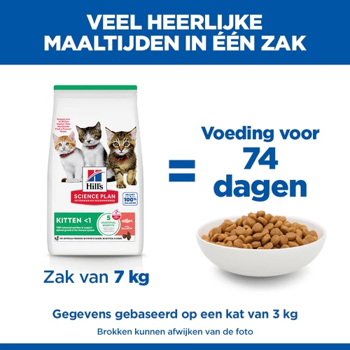 Hill's Science Plan - Kitten - Zalm
