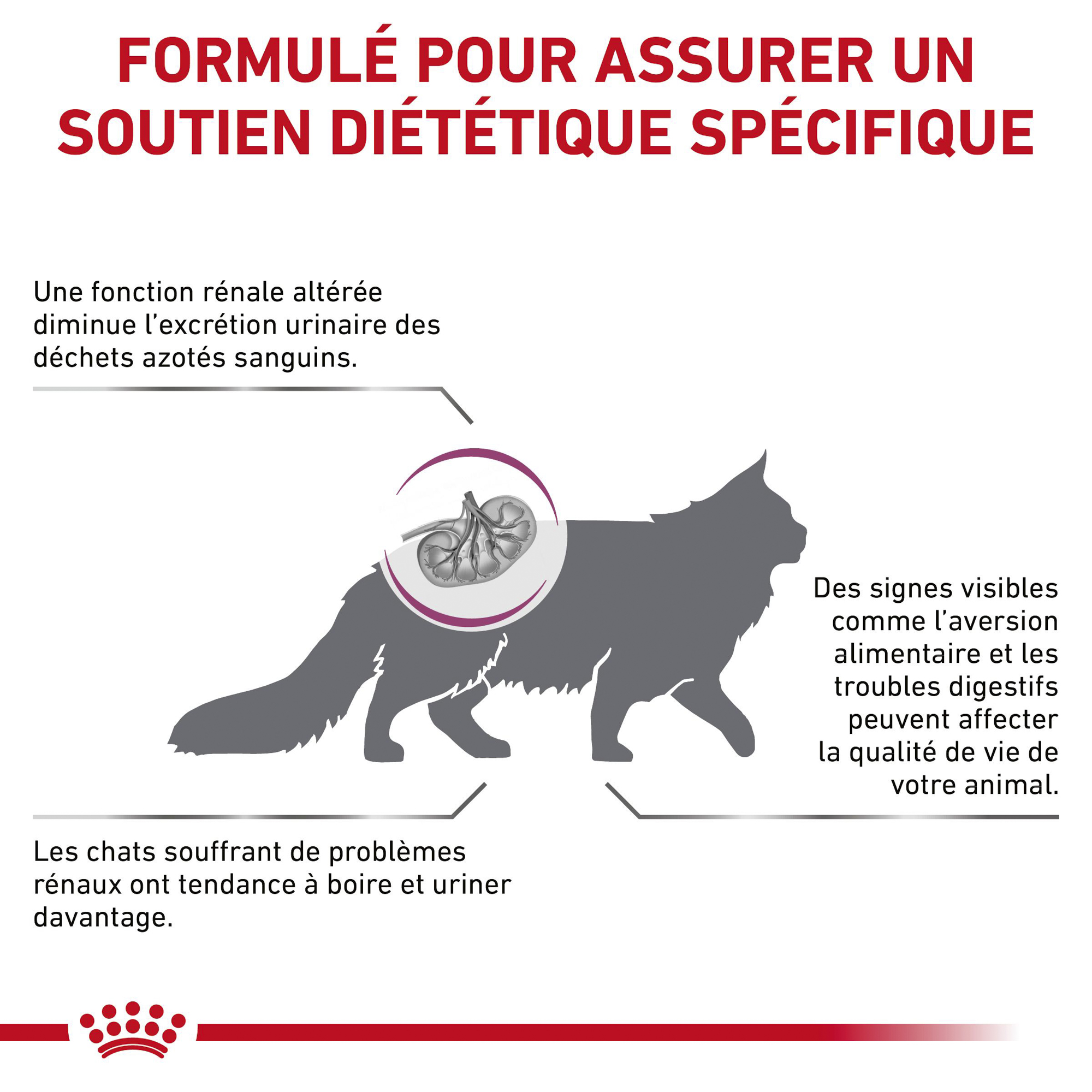 Royal Canin Rénal Chat