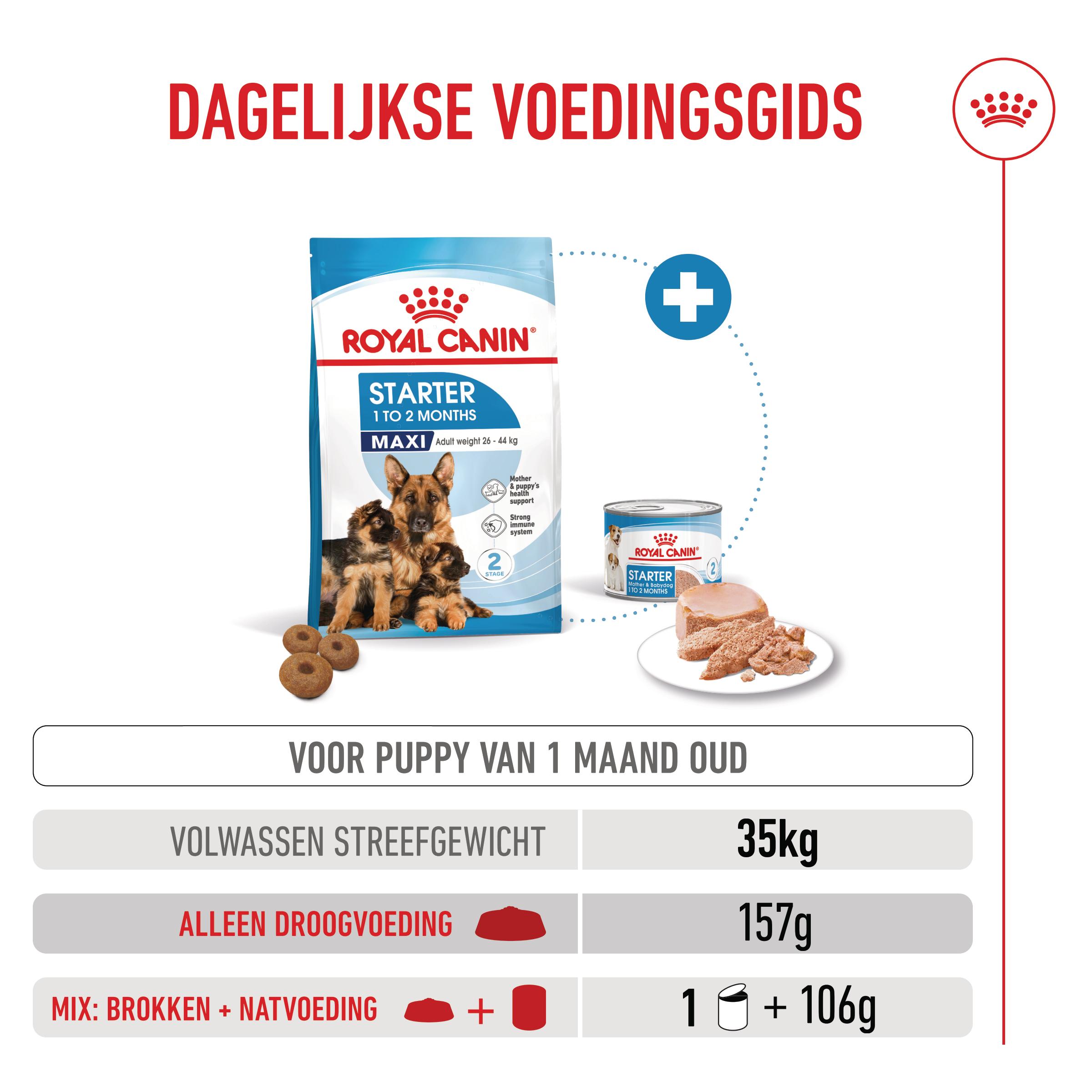 Royal Canin Maxi Starter Mother & Babydog - Hondenvoer