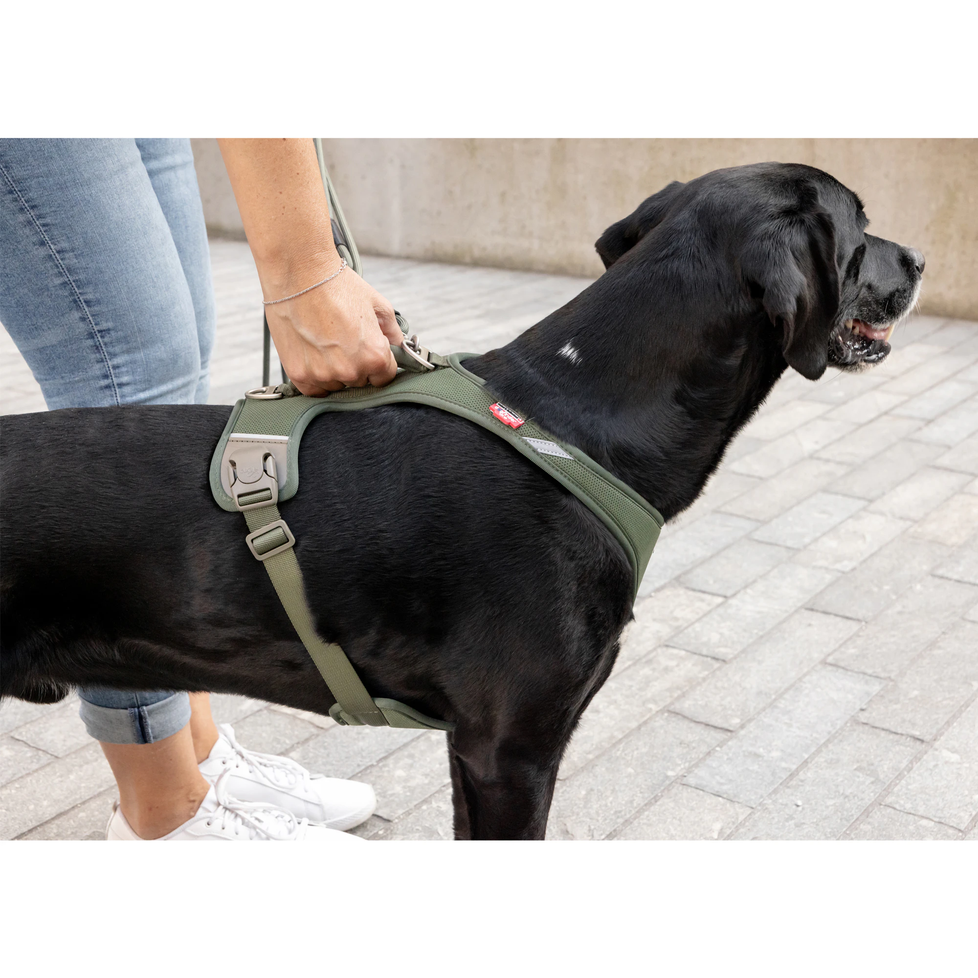 Curli Belka Comfort Harness