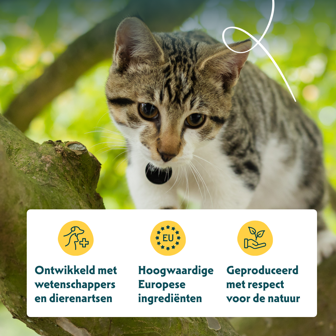 Yarrah - Natvoer Kat Blik Chunks met Kip Bio