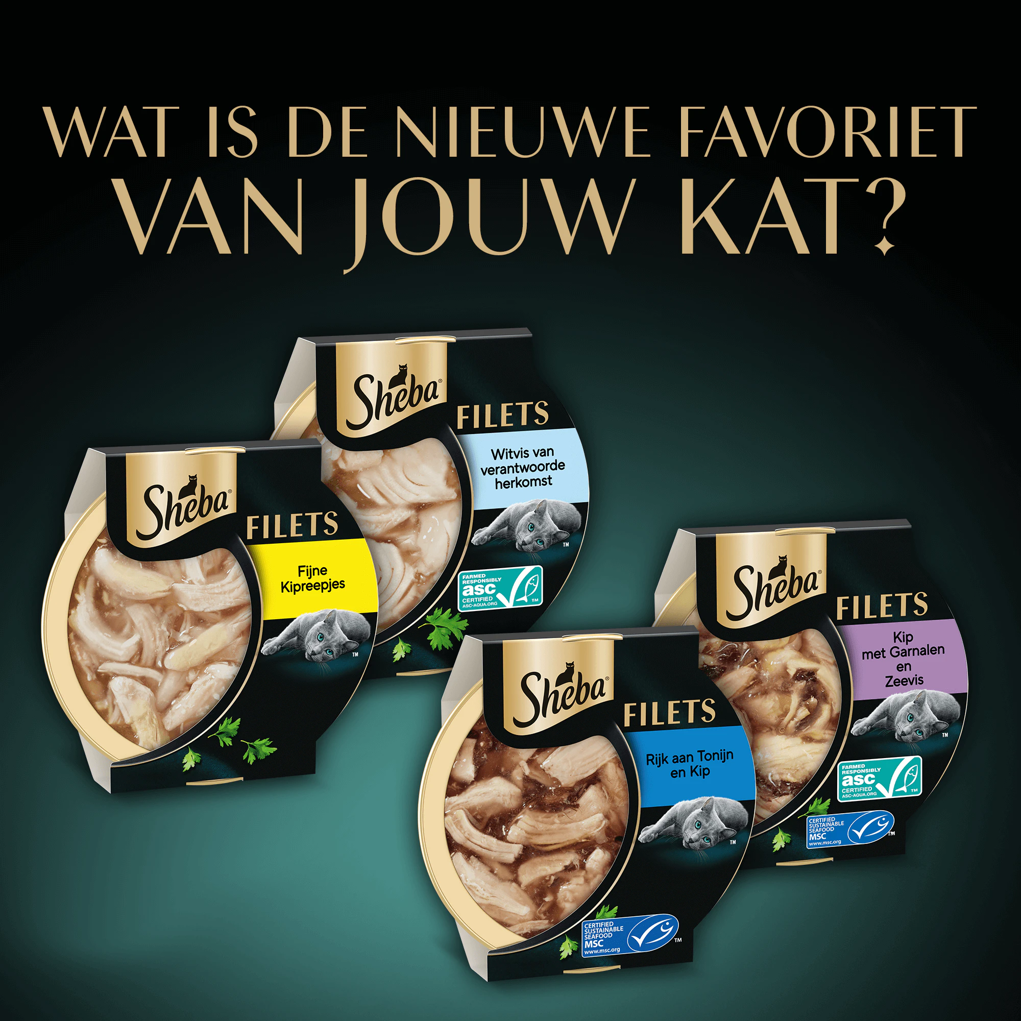 Sheba Filets - Kip met Tonijn in Saus