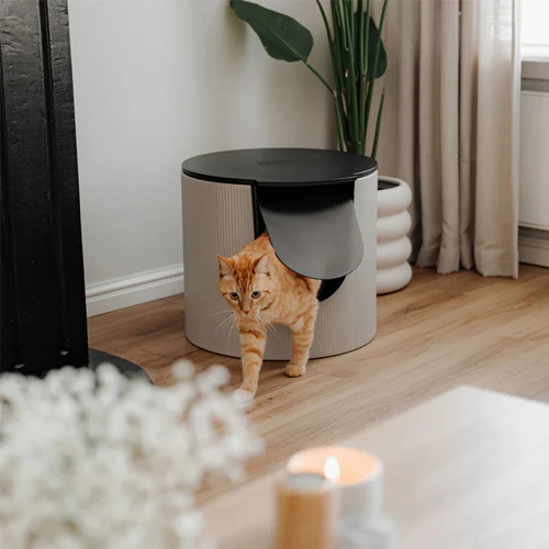 District 70 Fuse Design Cat Litter Box