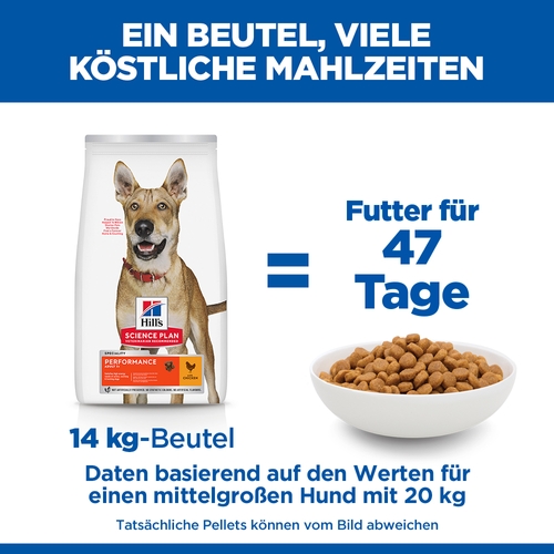 Hill's Science Plan Adult Performance Hundefutter