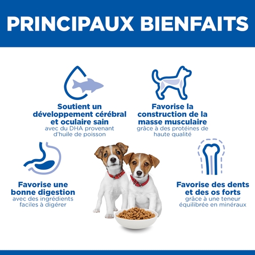 Hill's Science Plan Small & Mini - Chiot - Agneau & Riz