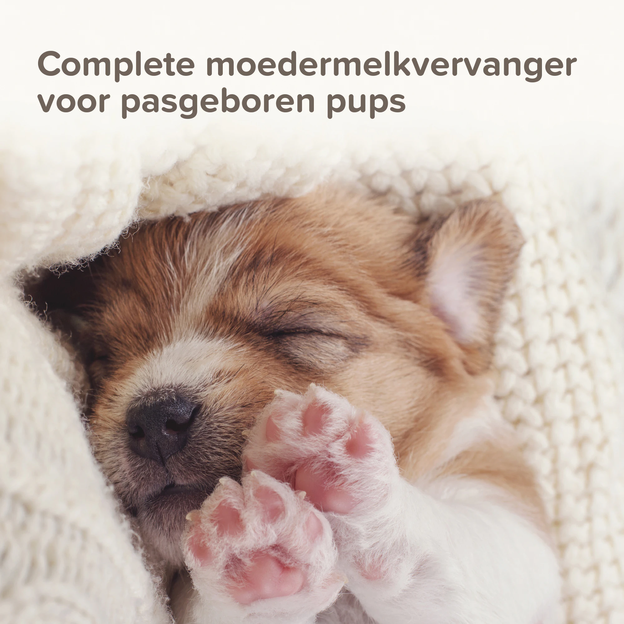 Beaphar Lactol Puppy Milk