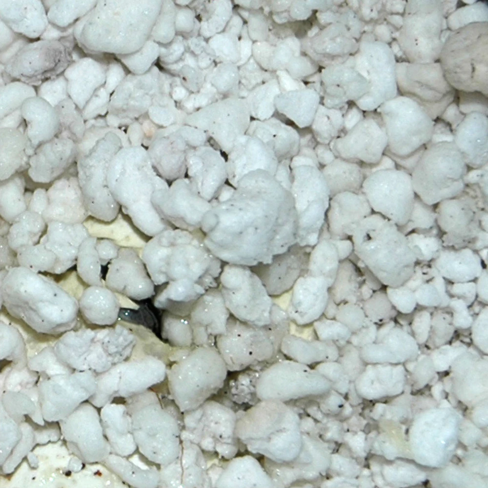 Lucky Reptile HatchRite