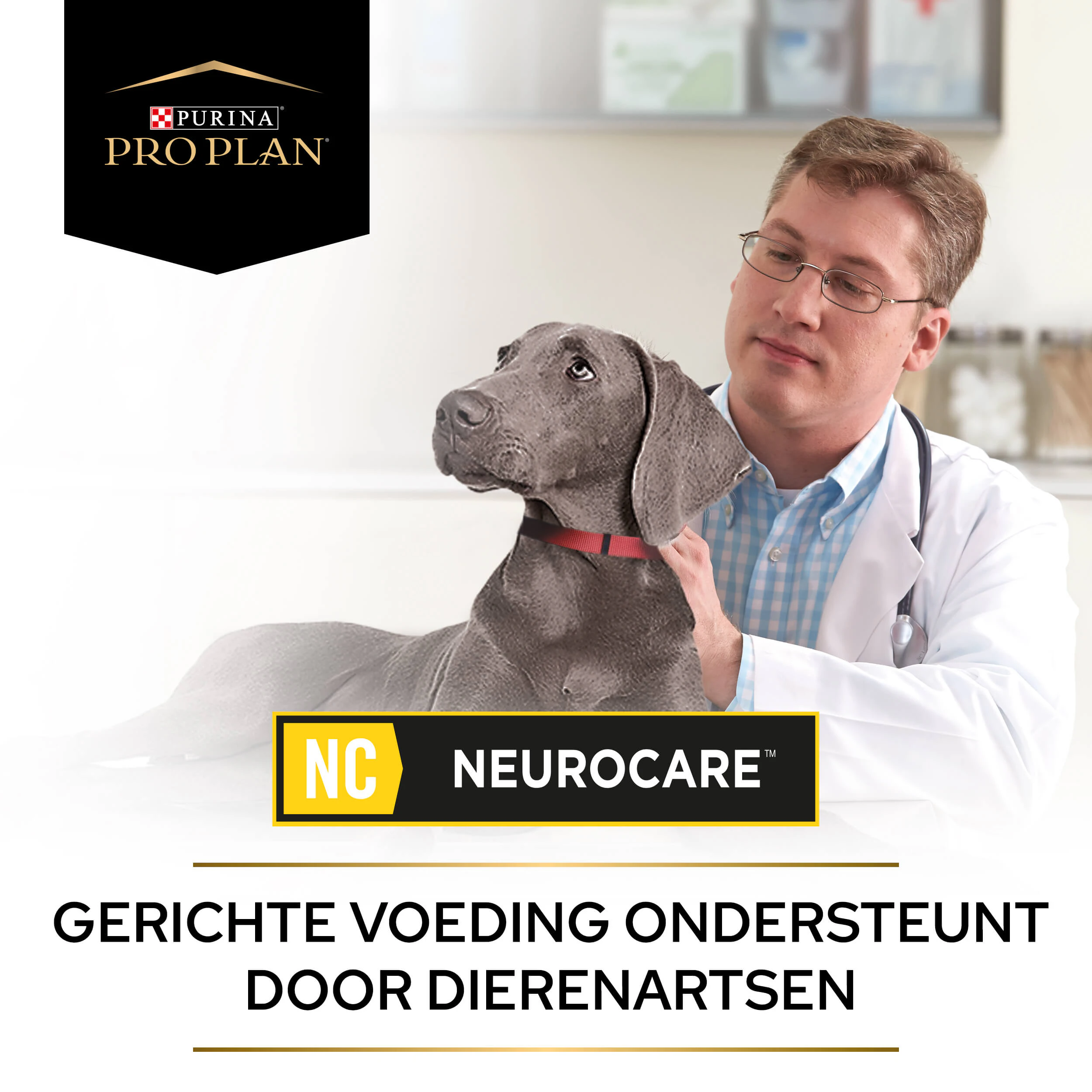 Purina Pro Plan Veterinary Diets NC Neuro Care - Hond