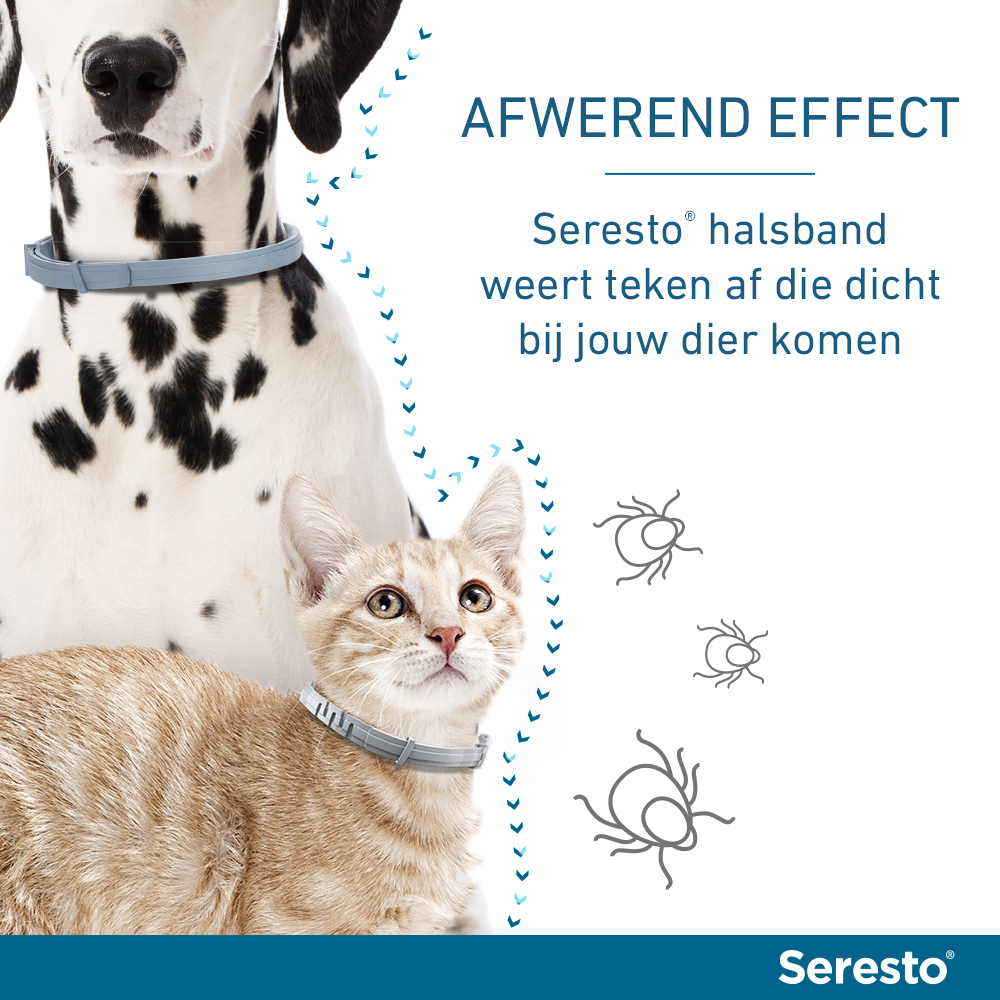 Seresto Hond