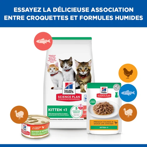 Hill's Science Plan - Chaton - Saumon