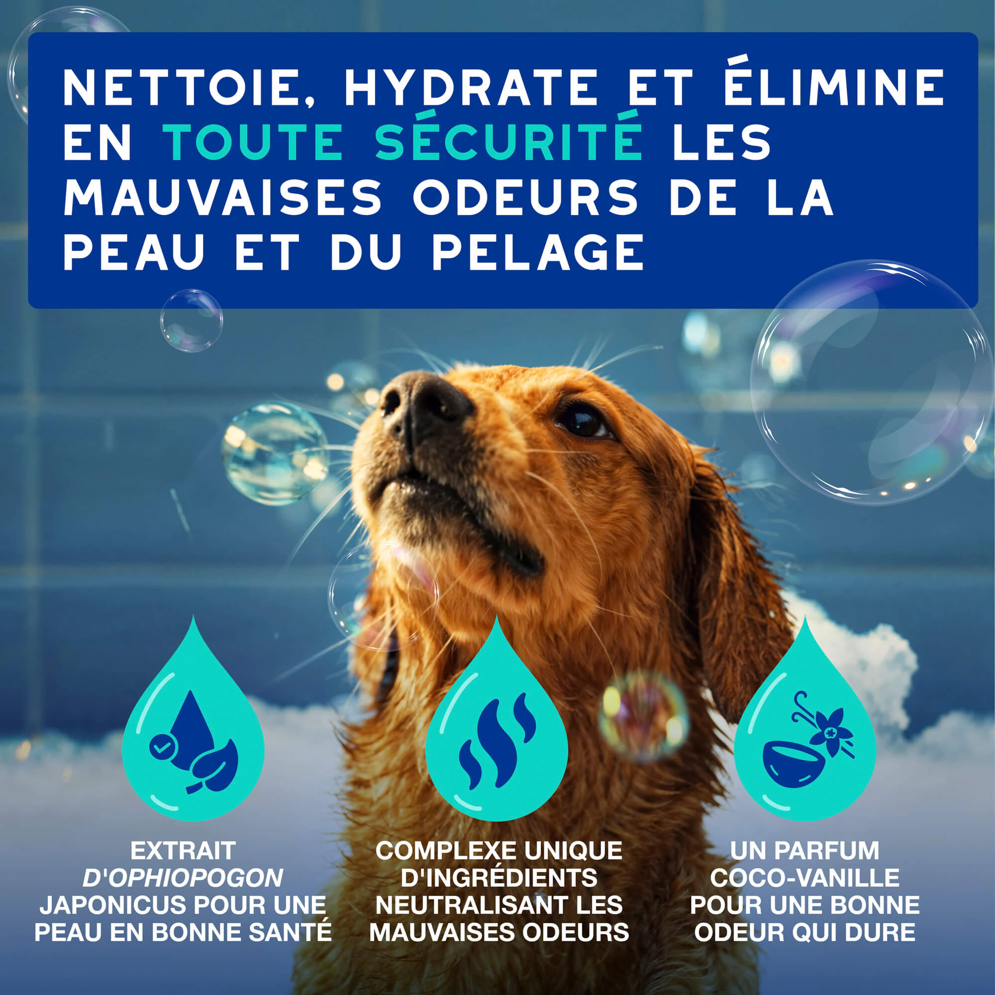 Douxo Spa Shampooing Anti-Odeur pour Chien