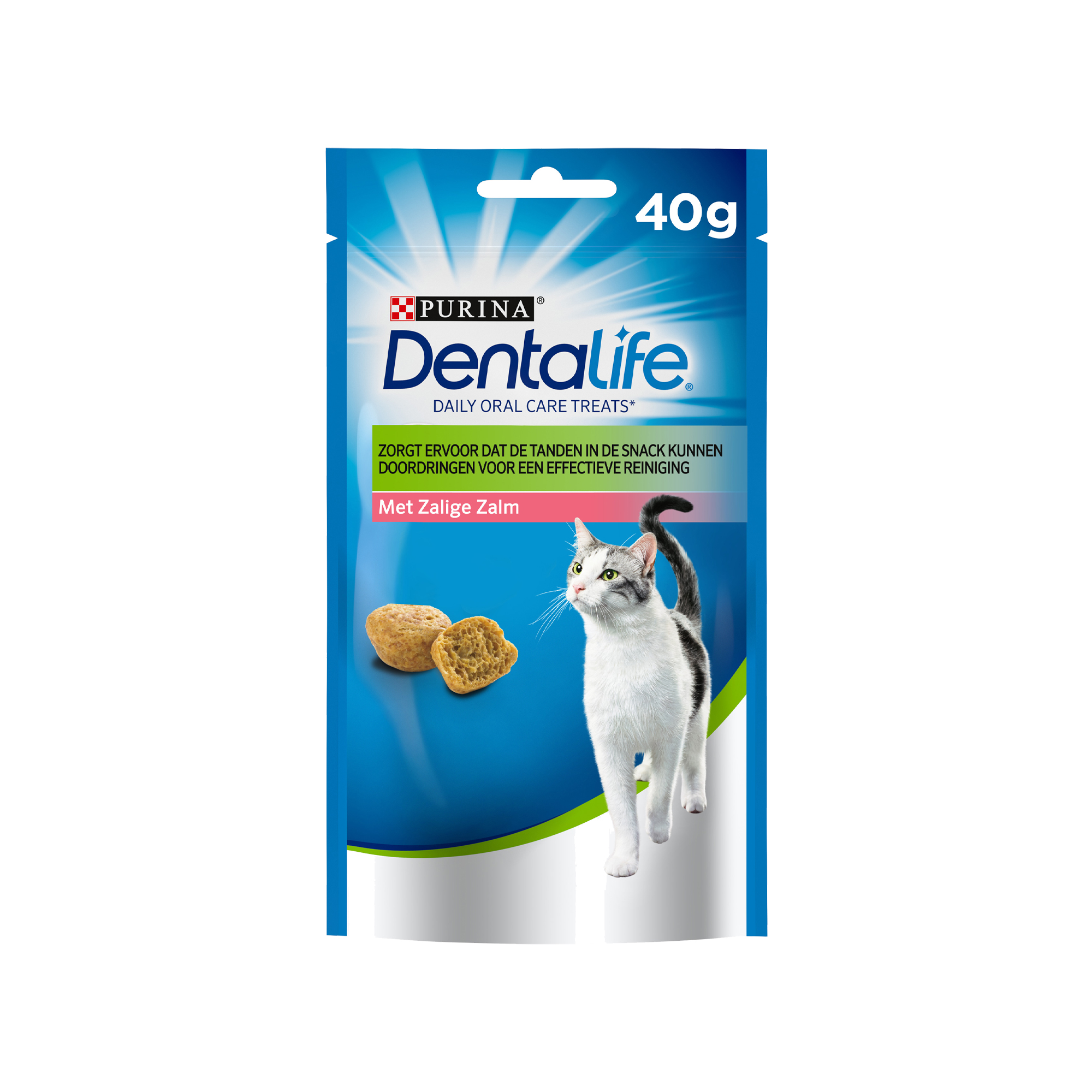 Dentalife daily oral care hotsell