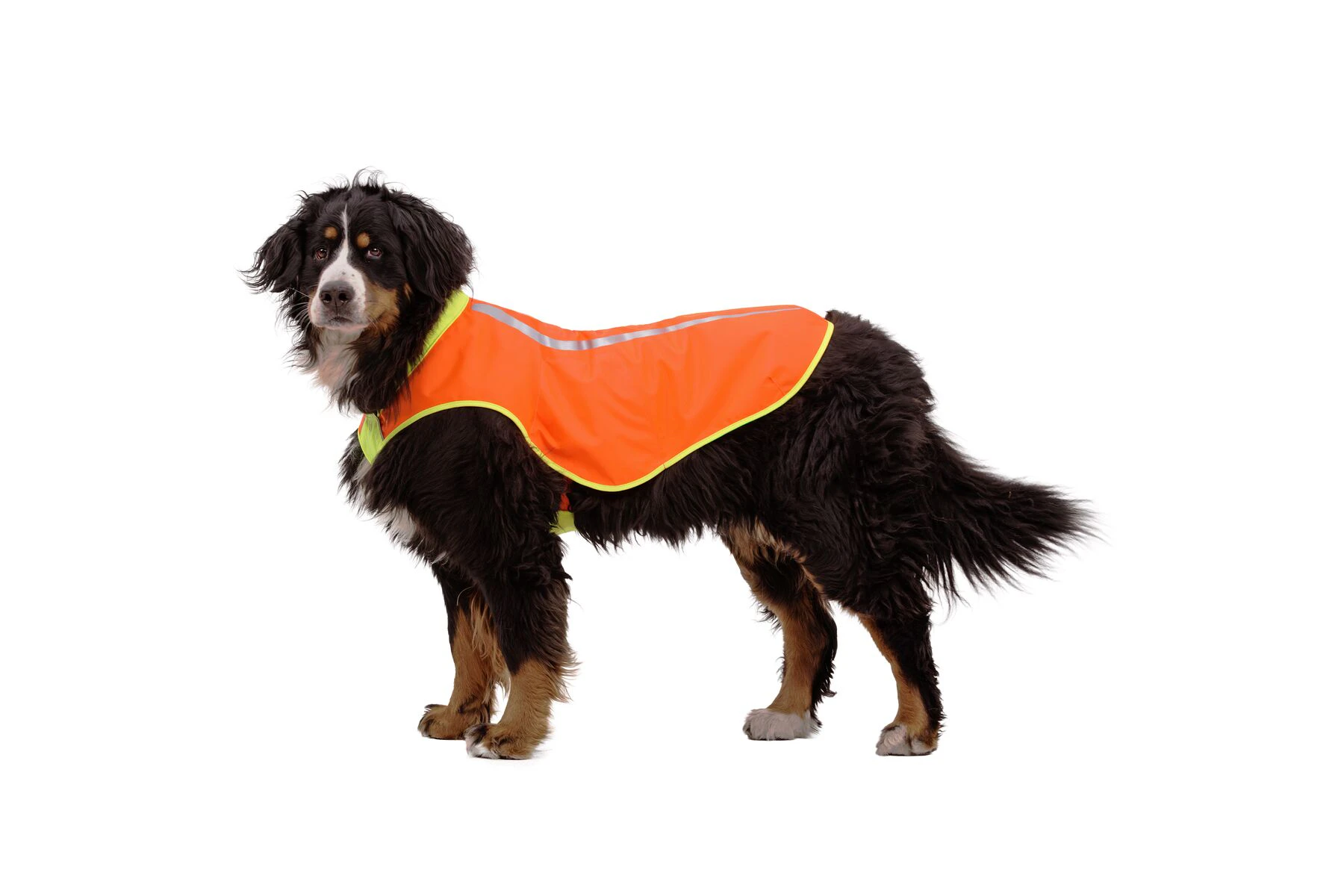 Ruffwear Lumenglow High-Vis Vest