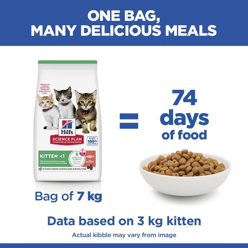Hill's Science Plan - Kitten - Salmon