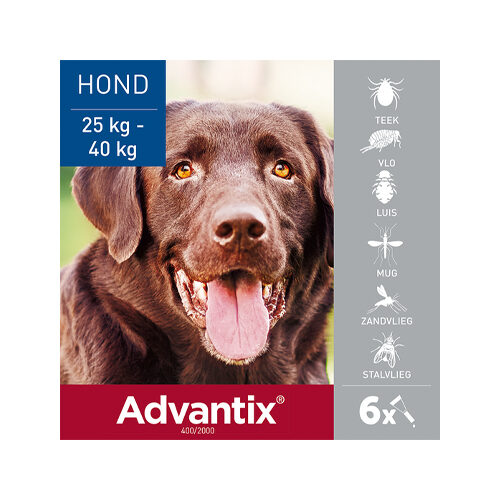 Advantix | Vlooien & Teken | Hond | Bestellen | Medpets.Nl