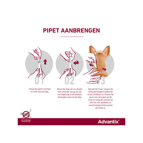 nietig meesteres vergeven Advantix | Vlooien & Teken | Hond | Bestellen | Medpets.be