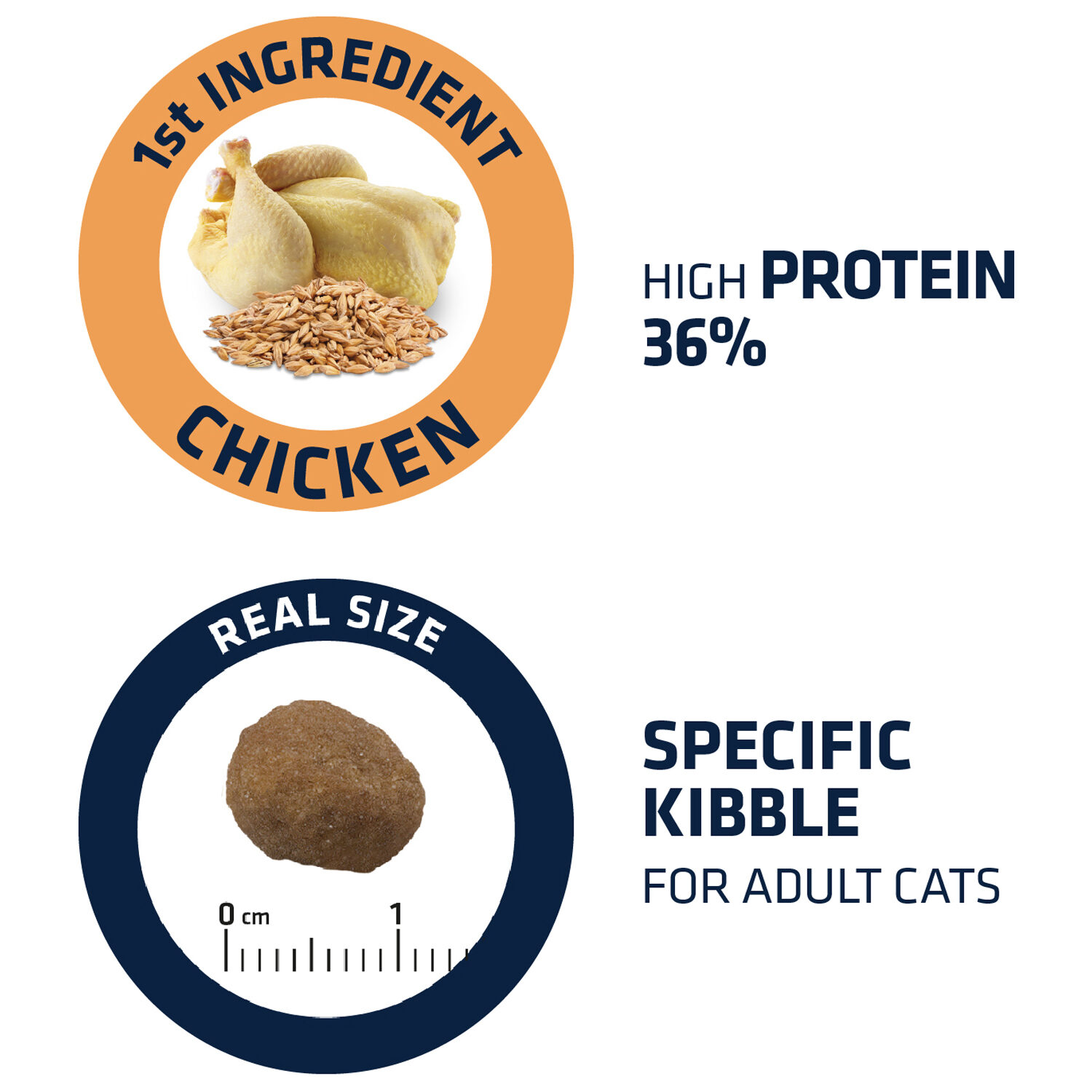 Advance kitten sales chicken & rice