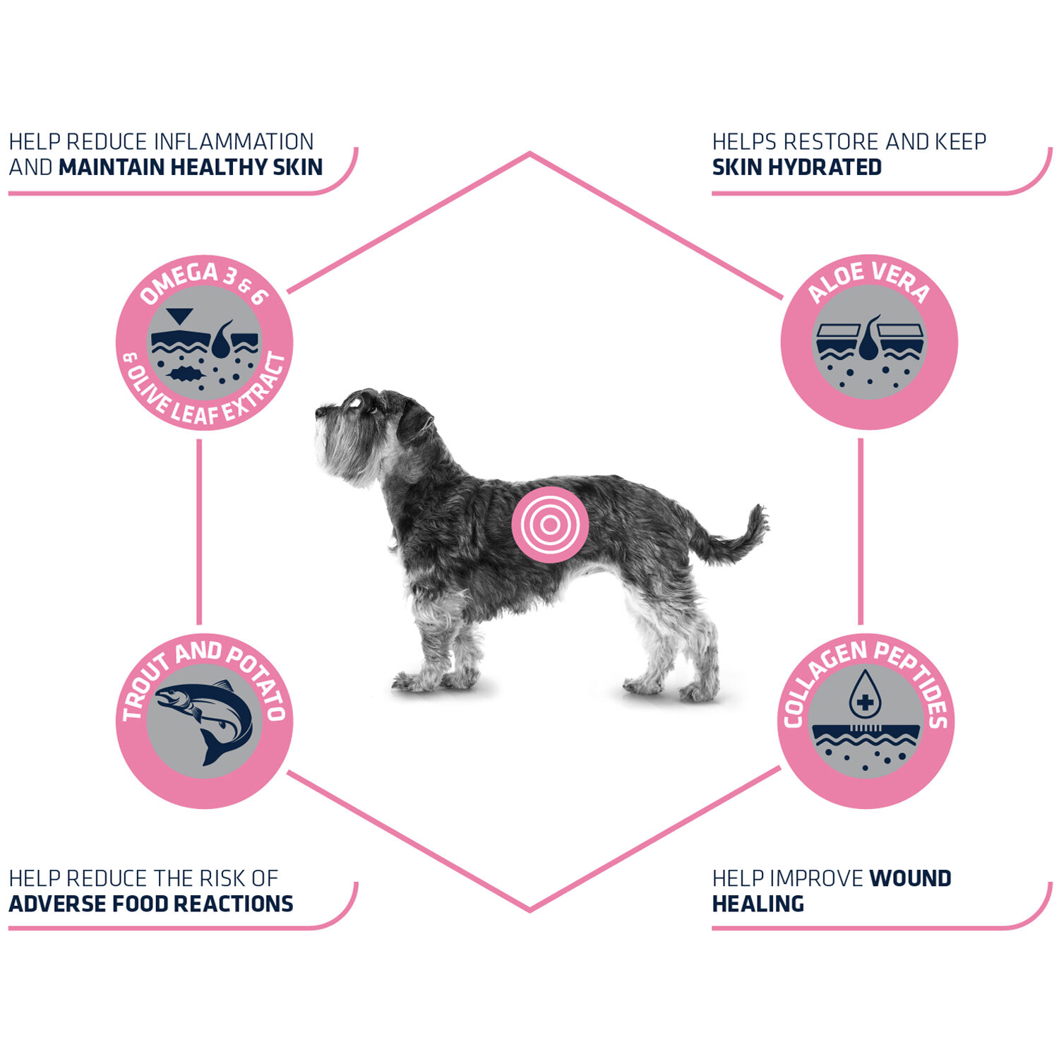 Affinity Advance Veterinary Diets Atopic Mini Dog