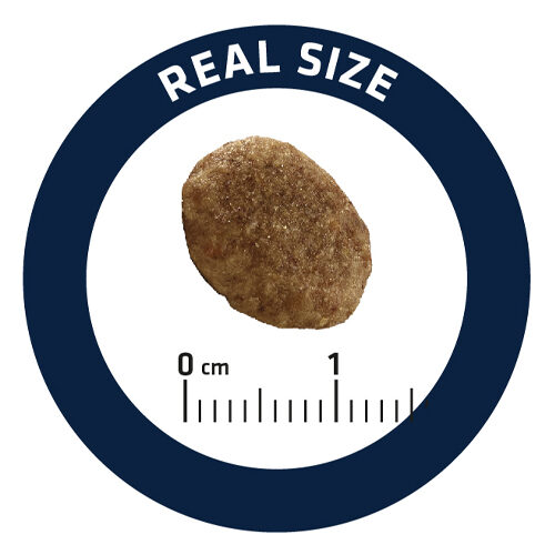 Advance urinary top cat food