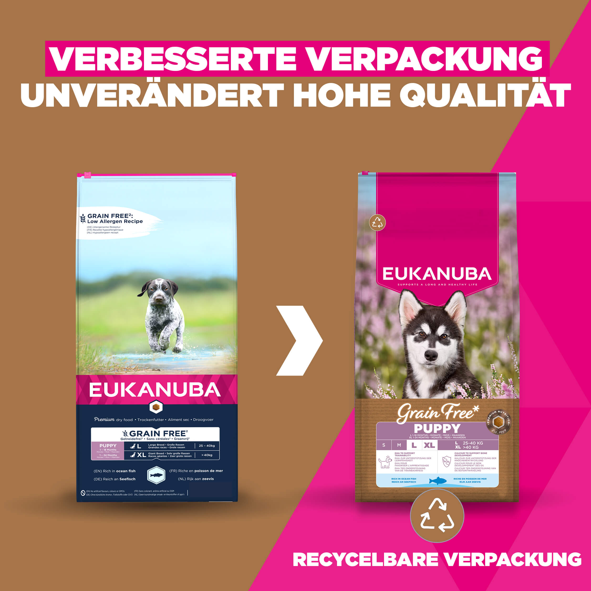 Eukanuba Dog Junior Large Grainfree Hundefutter