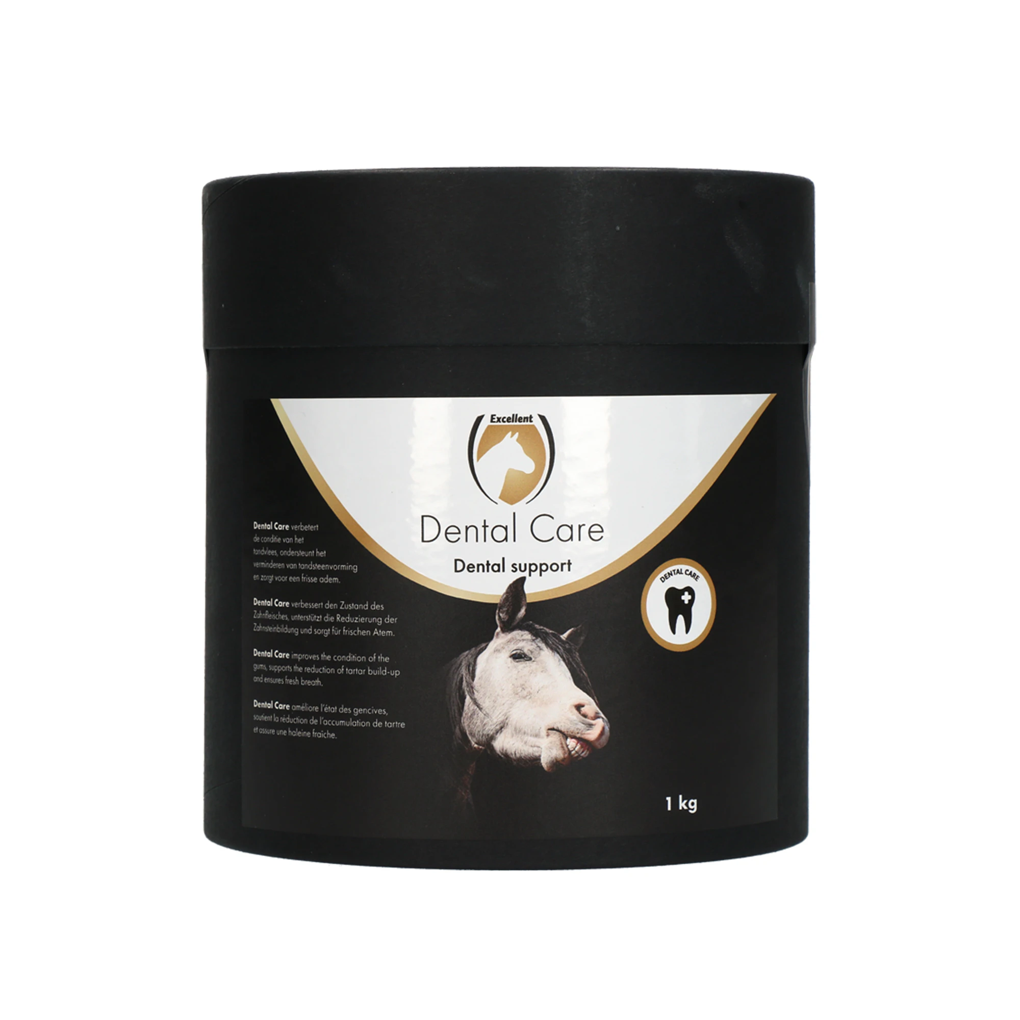 Excellent Horse Dental Care