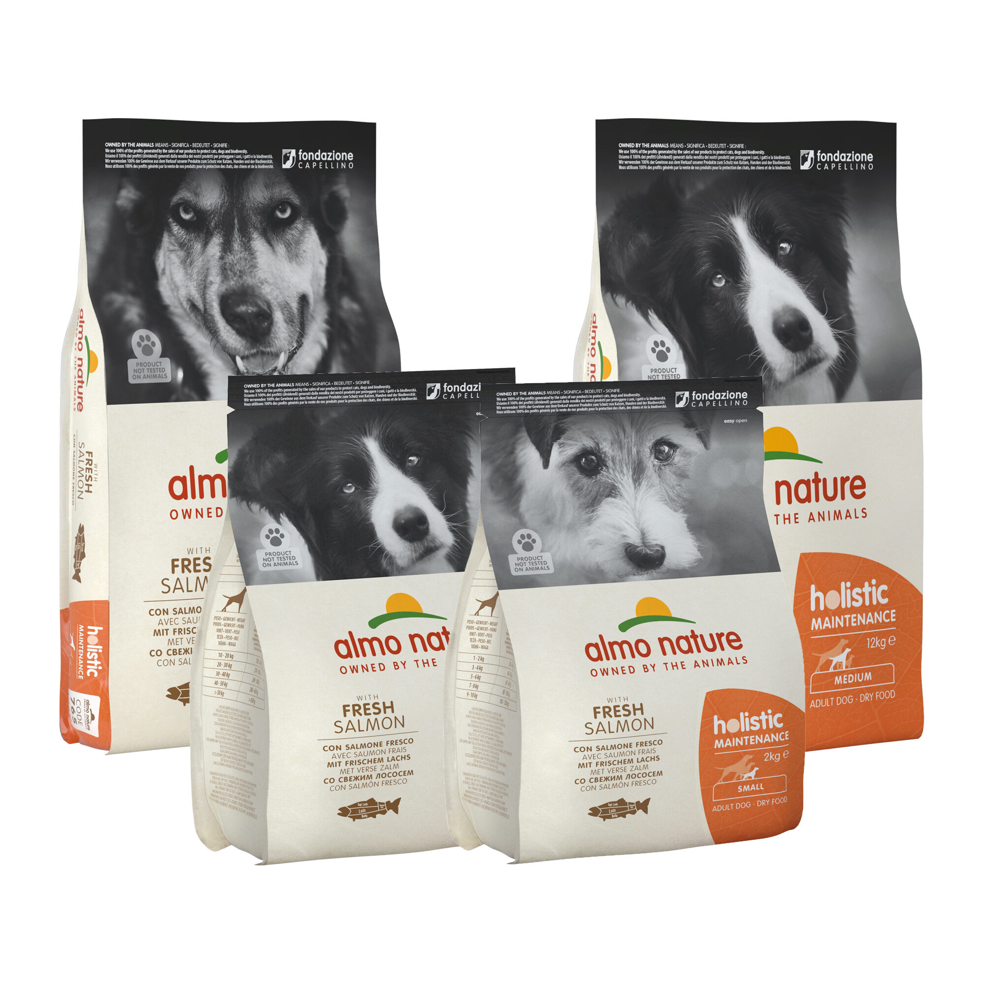 Almo Nature Holistic - Kattenvoer - 2 Kilogram - kalkoen