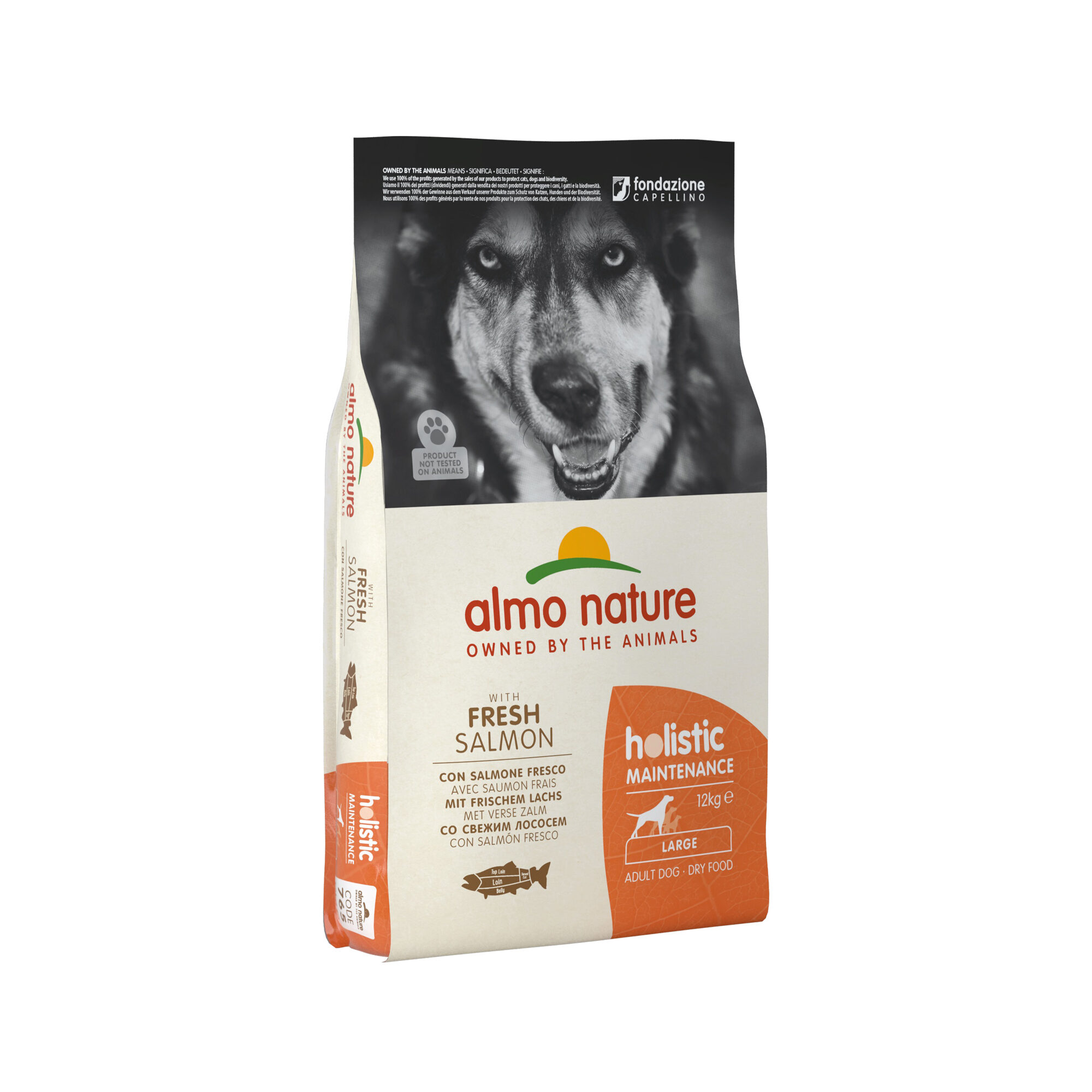 Almo Nature Holistic Maintenance Hondenvoer - Zalm - L - 12 kg