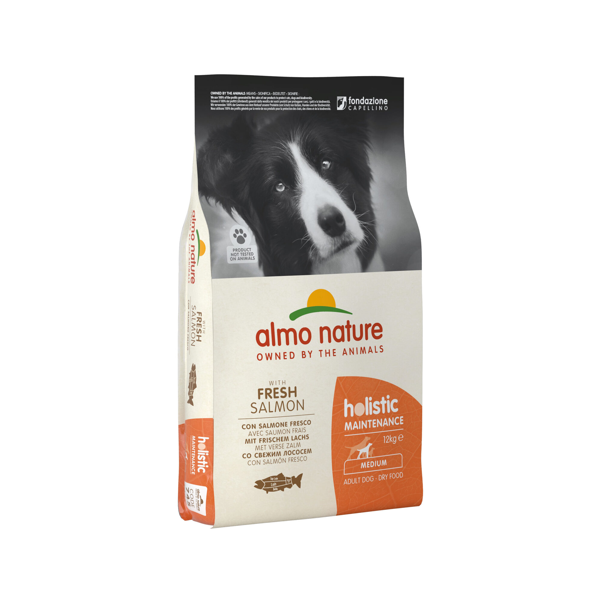 Almo Nature Holistic Maintenance Hondenvoer - Zalm - M - 12 kg
