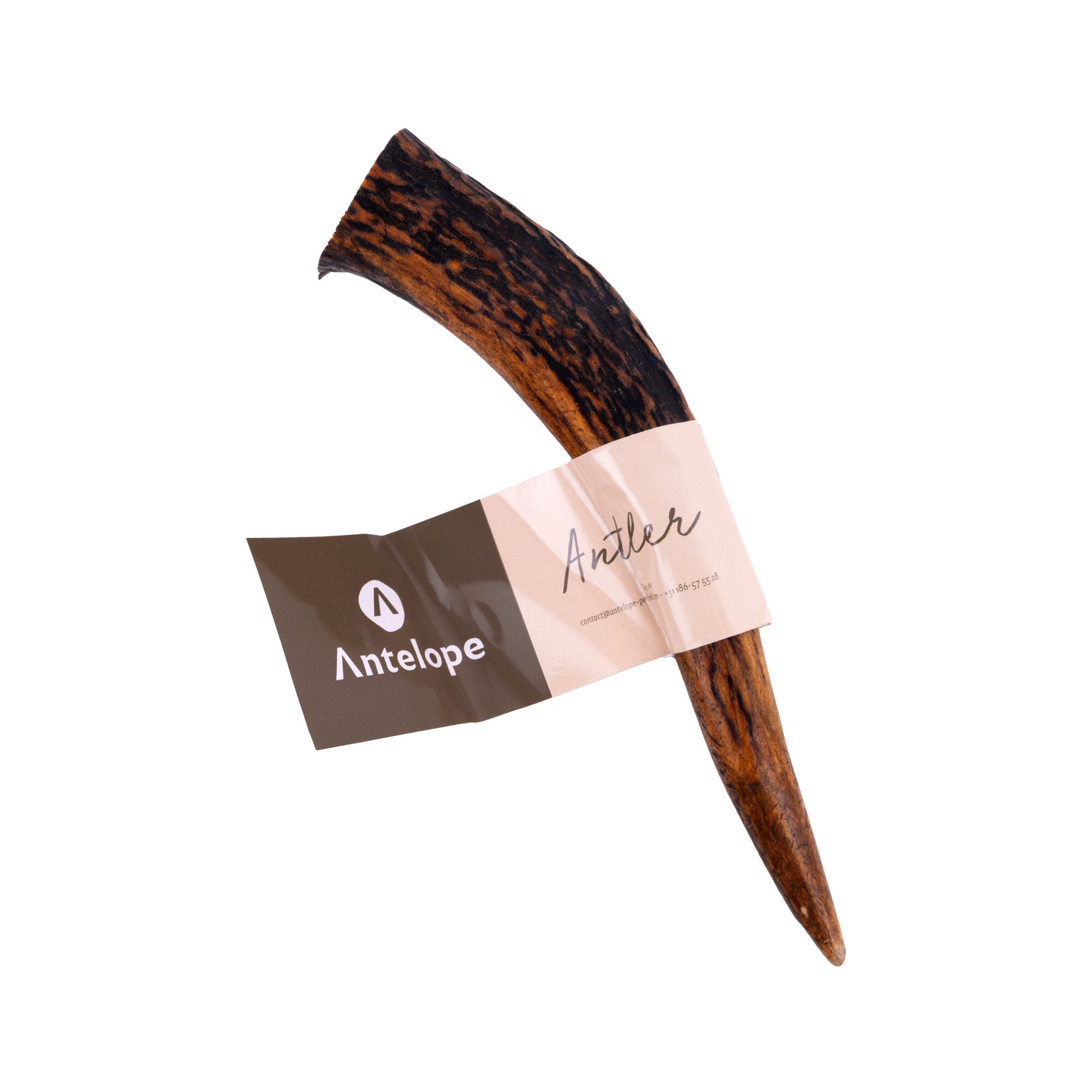 Antelope Antler - M