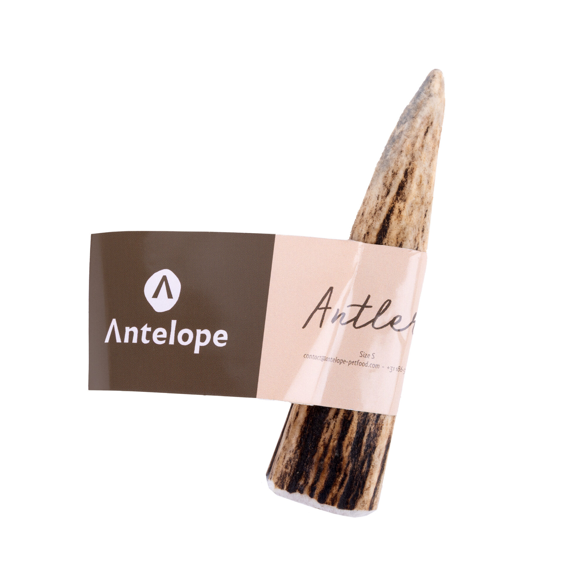 Antelope Antler - S