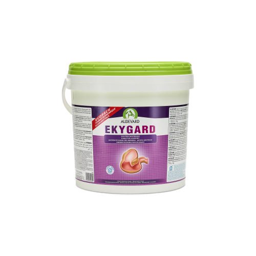 Audevard Ekygard