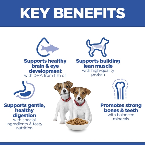 Hill's Science Plan Small & Mini - Puppy - Chicken