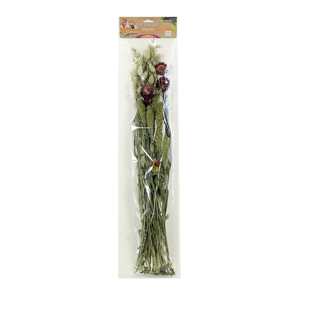 Esve Pet Bouquet Weidegewas