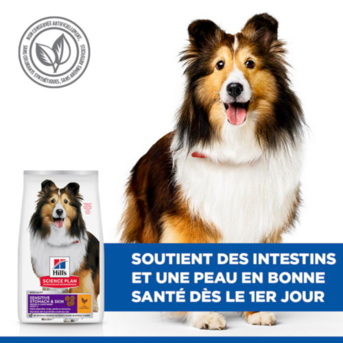 Hill's Science Plan Adult Sensitive Stomach & Skin Medium