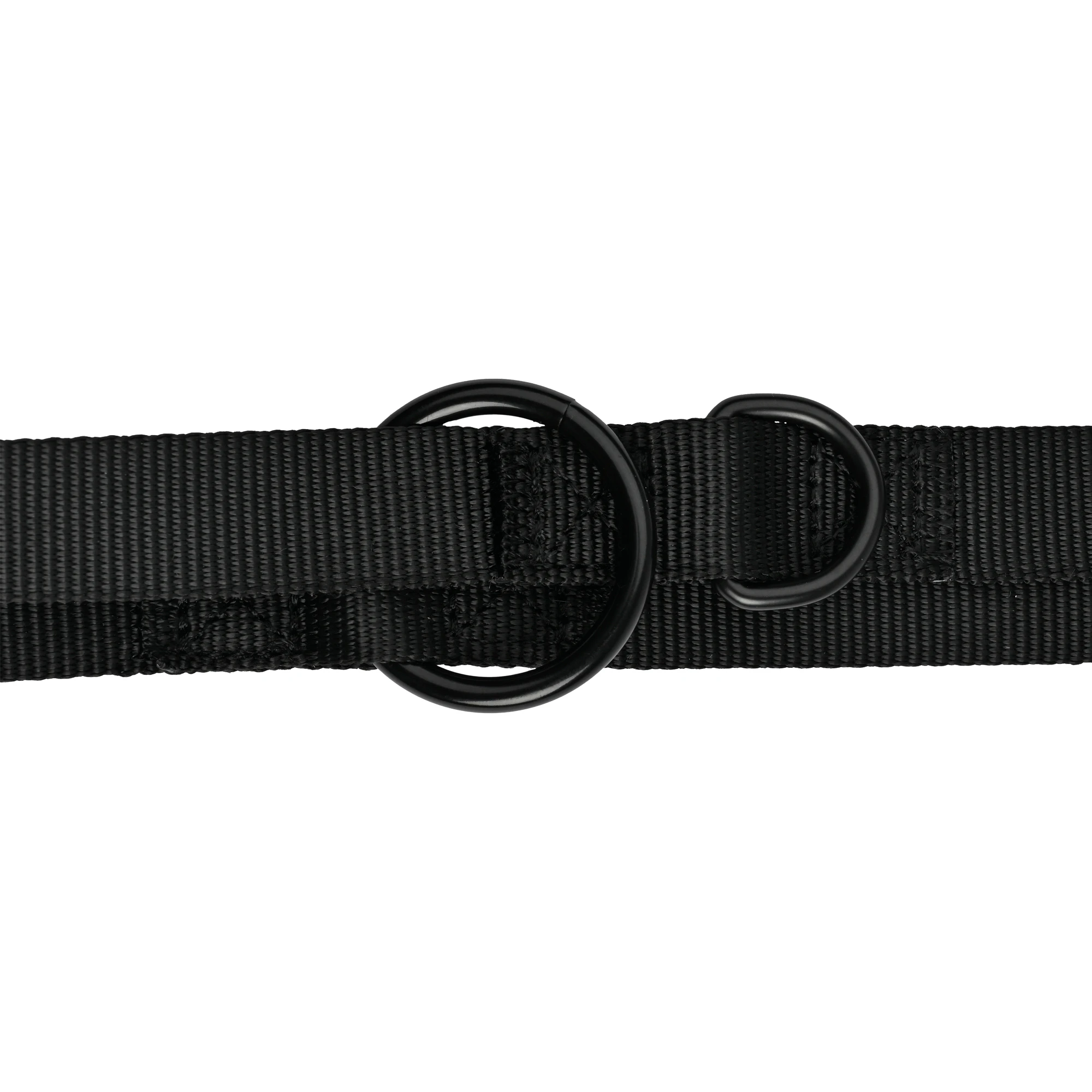 51 Degrees North Wanderful Training Leash