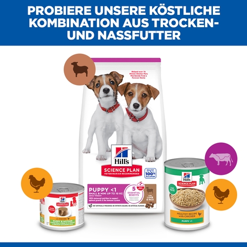 Hill's Science Plan Small & Mini - Welpe - Lamm & Reis
