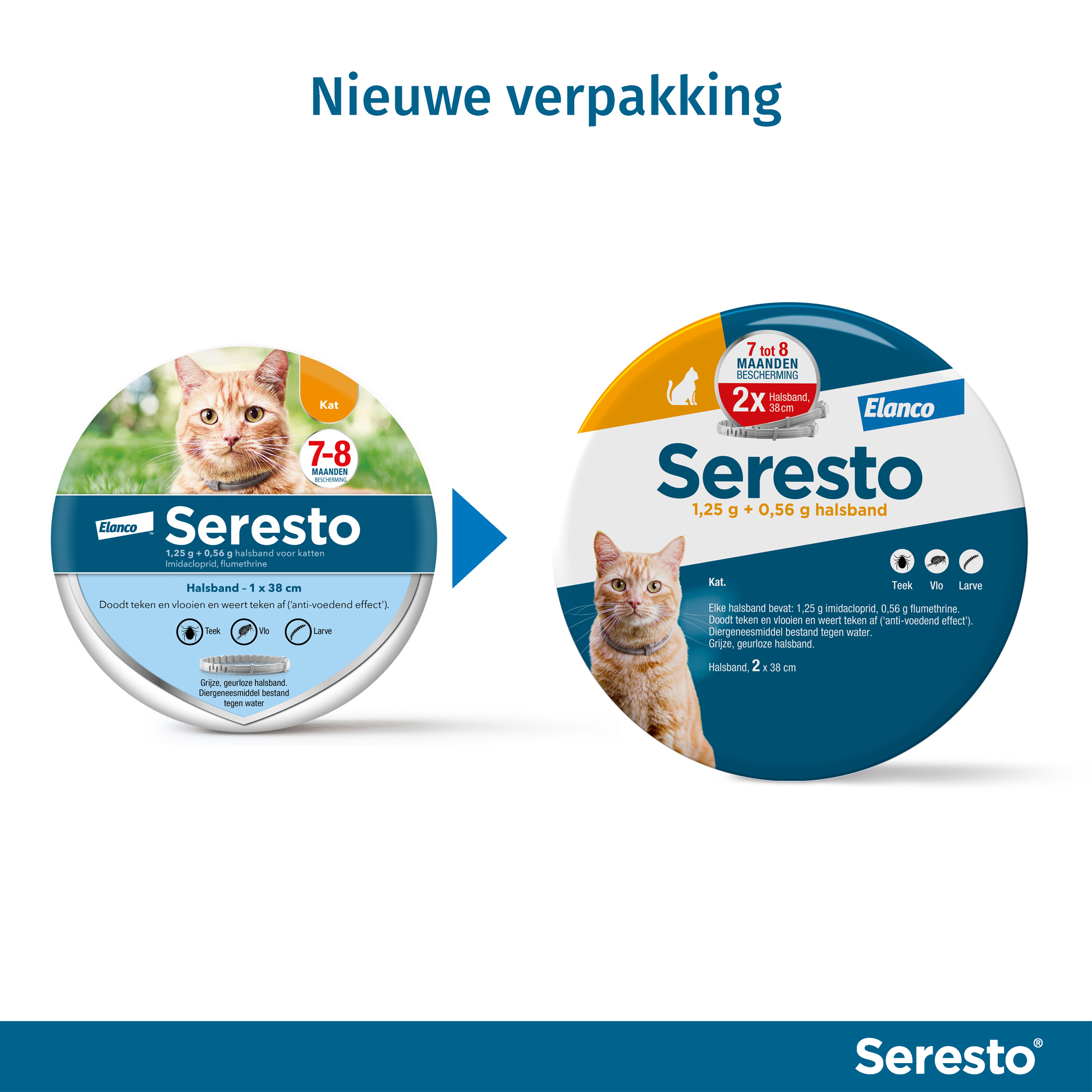 Seresto Kat