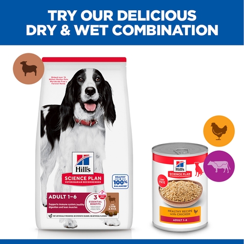 Hill's Science Plan Medium - Adult - Lamb & Rice