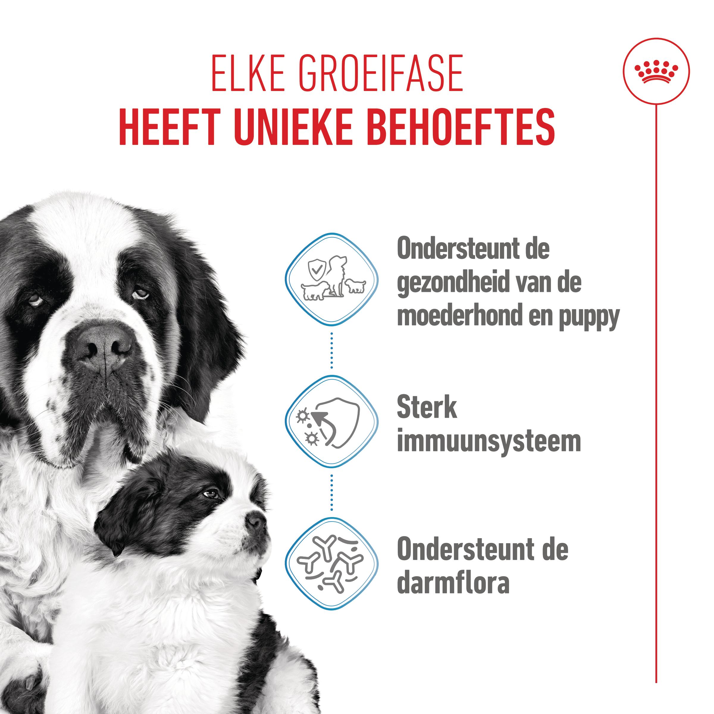 Royal Canin Giant Starter Mother & Babydog - Hondenvoer