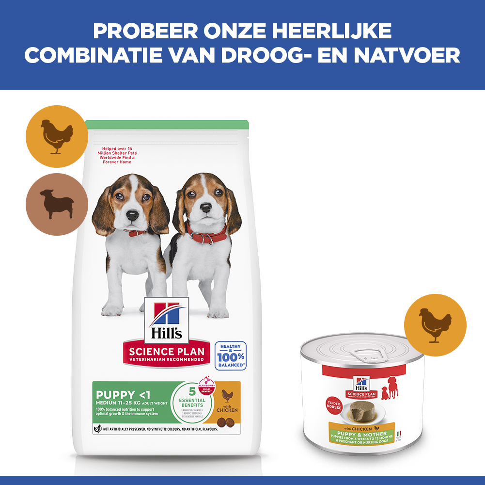 Hill's Science Plan Puppy & Mother - Kip - Blik