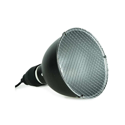 Back Zoo Nature Bird Sun UV-Lamp