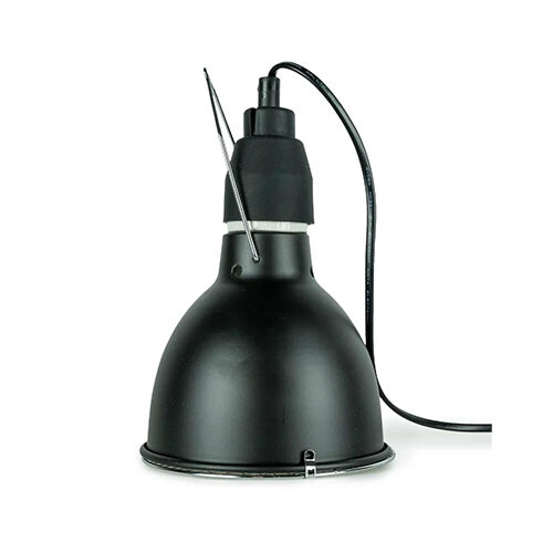 Back Zoo Nature Bird Sun UV-Lampe