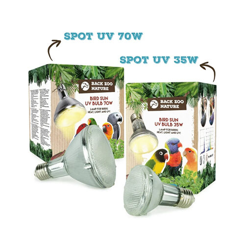 Back Zoo Nature Bird Sun UV-Lampe